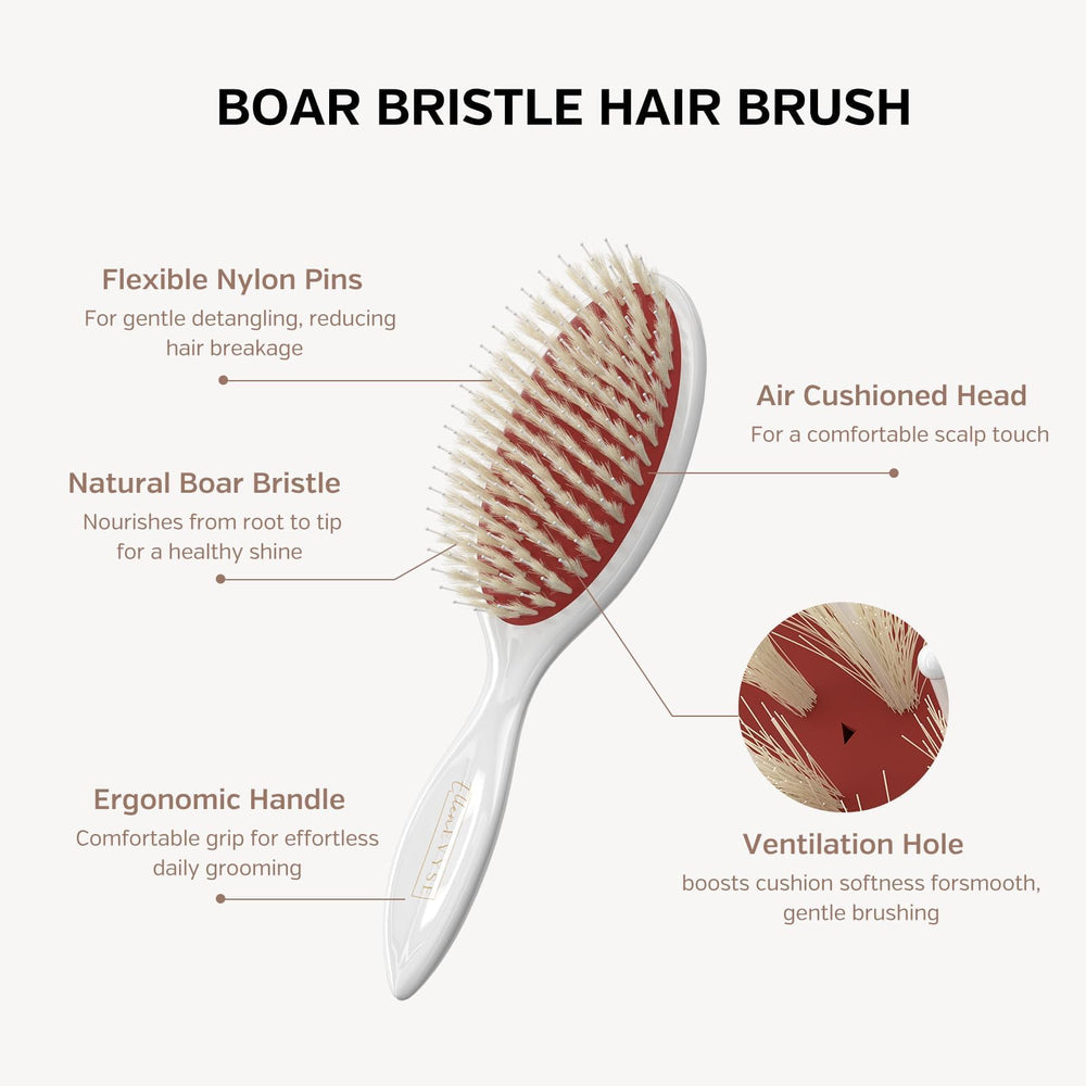 Ellen Evyse boar and nylon bristle detail smoothing hair and reducing frizz