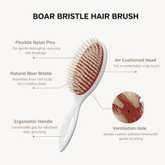 Ellen Evyse boar and nylon bristle detail smoothing hair and reducing frizz