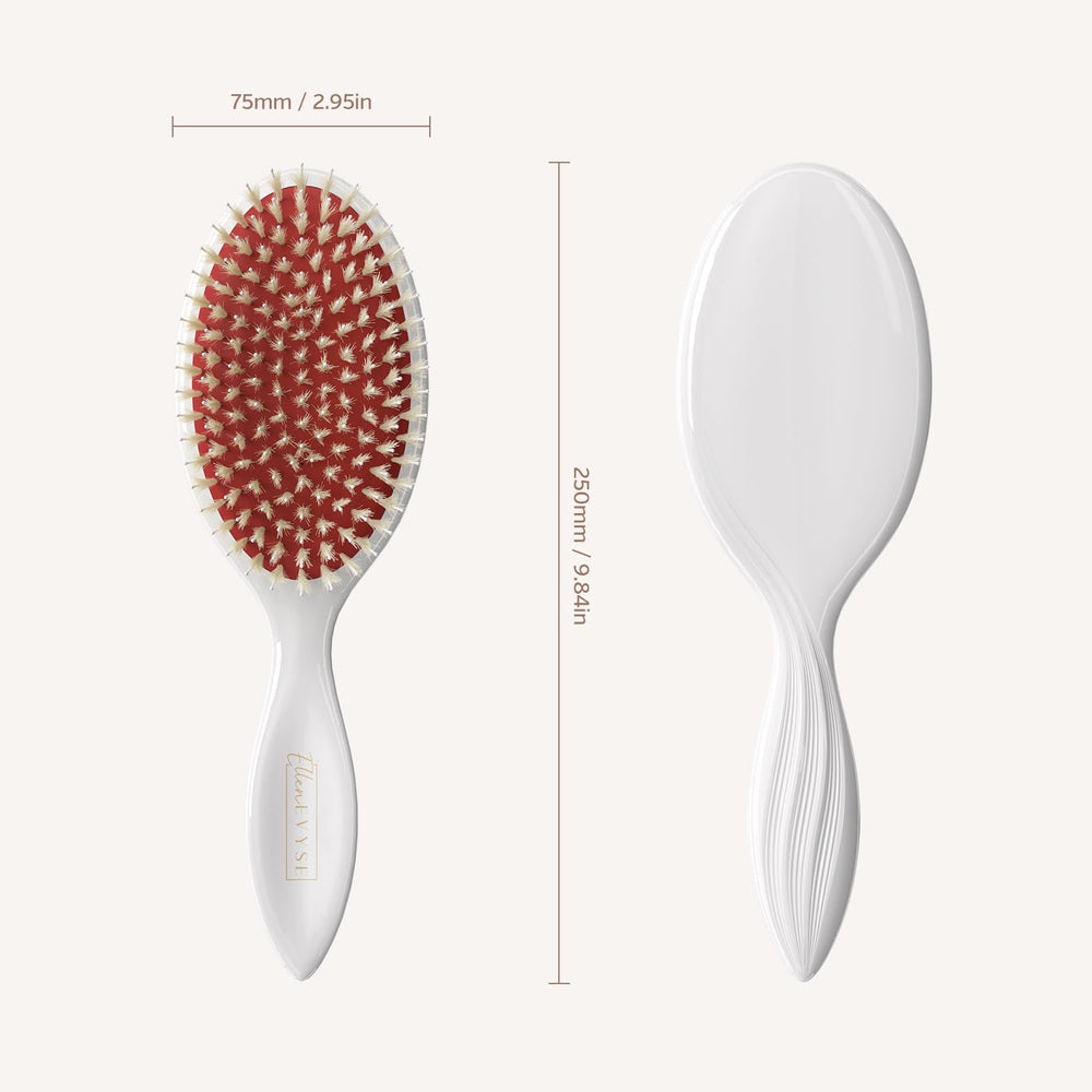 Ellen Evyse size comparison next to a hand to show brush scale