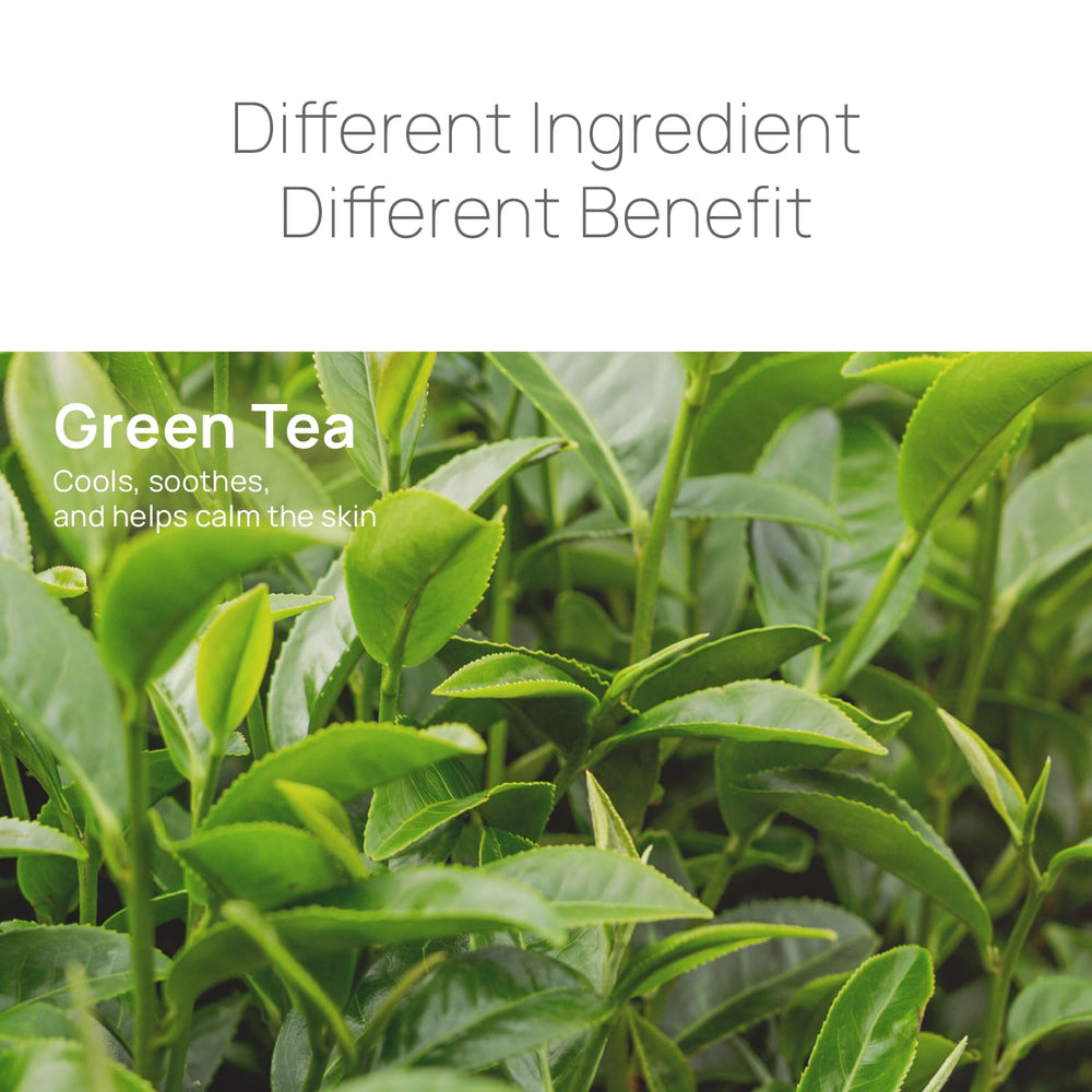 Epielle ingredient label close-up showing green tea extract and gentle formula