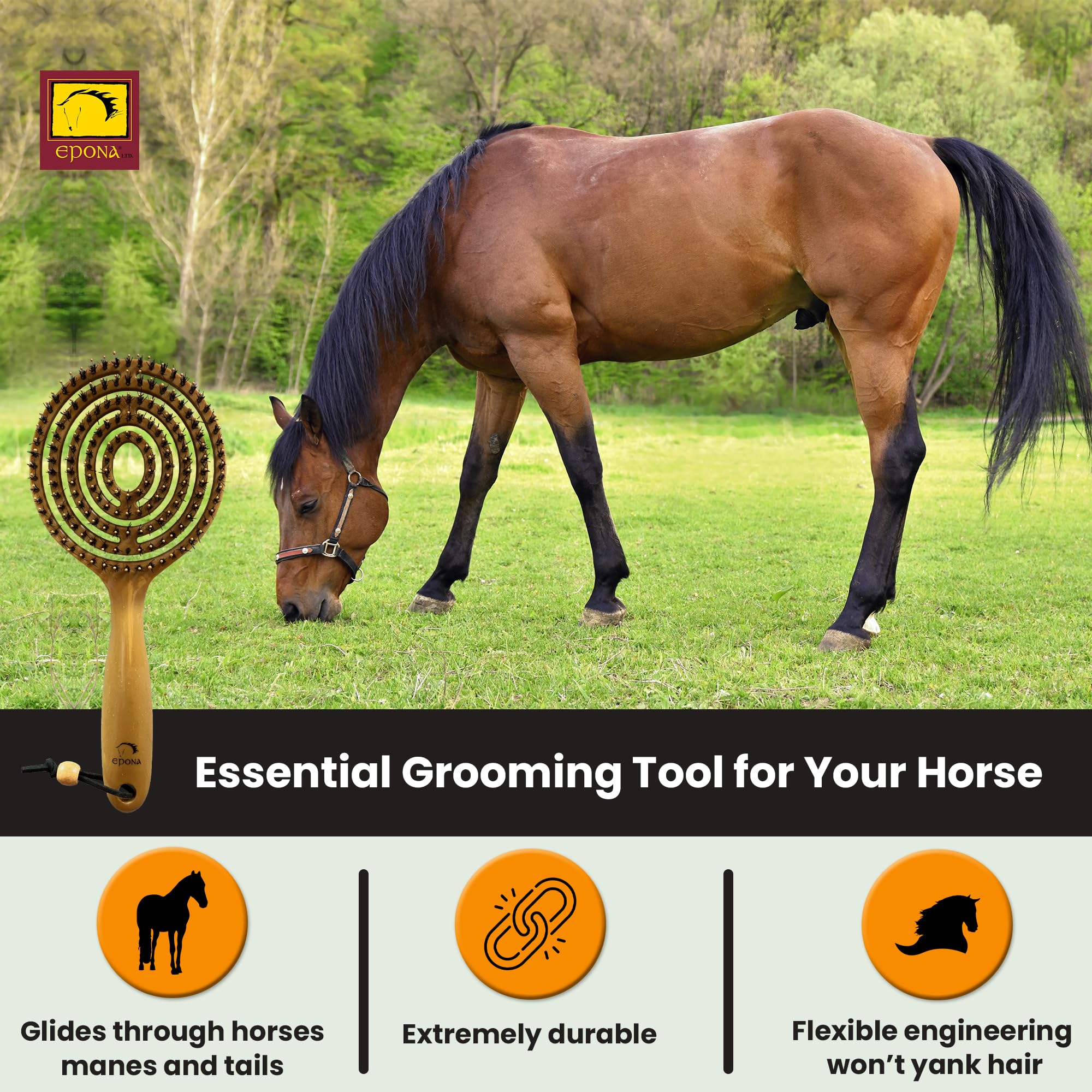 Epona brush inside grooming kit illustrating portability and stable-ready benefit