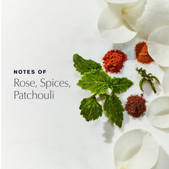 Estée Lauder Youth‑Dew close-up of cap and label highlights premium details and authenticity