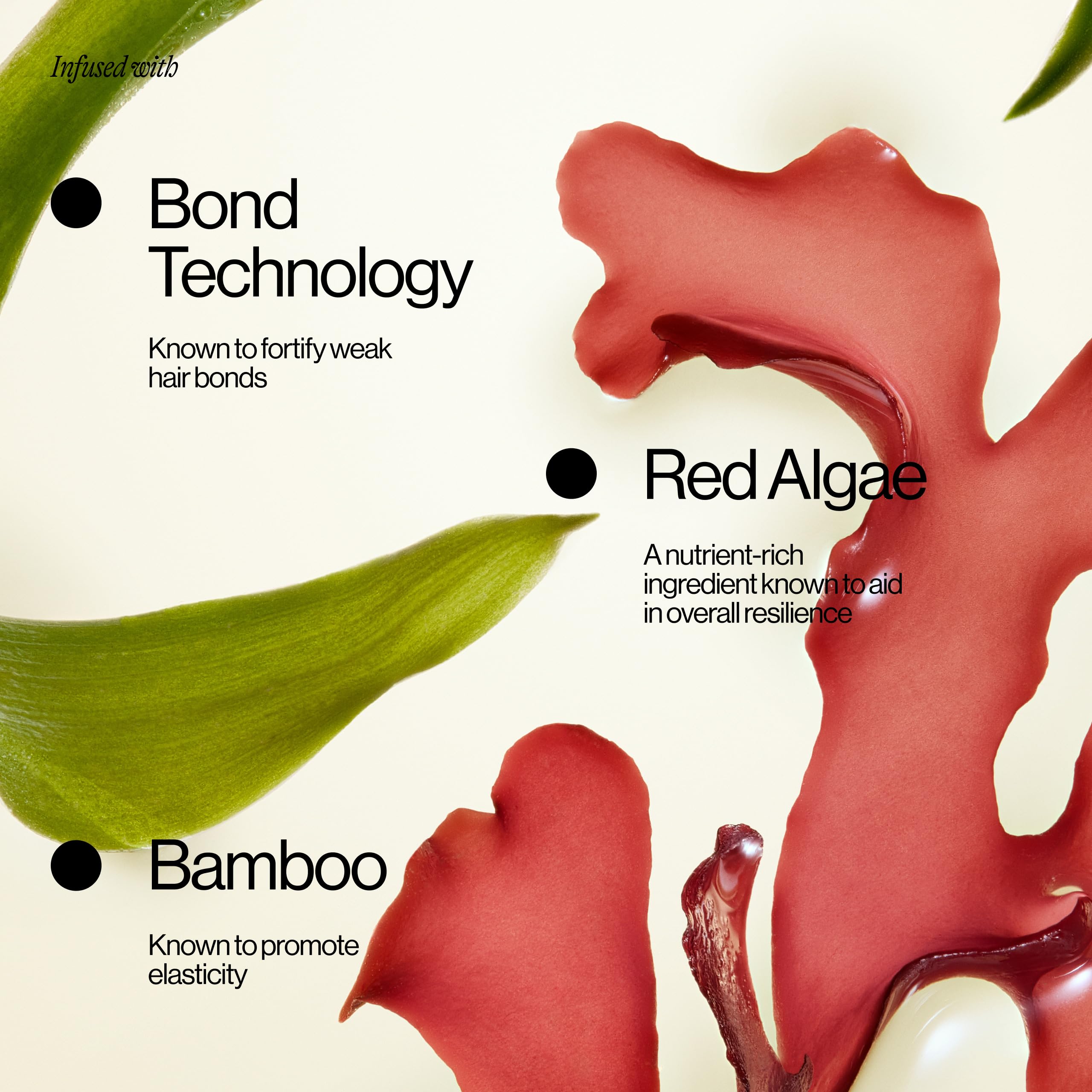 EVA·NYC applied to damp hair from a stylist hand, aids detangling