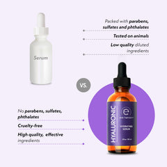 Eve Hansen botanicals and ingredients flatlay showing natural sources
