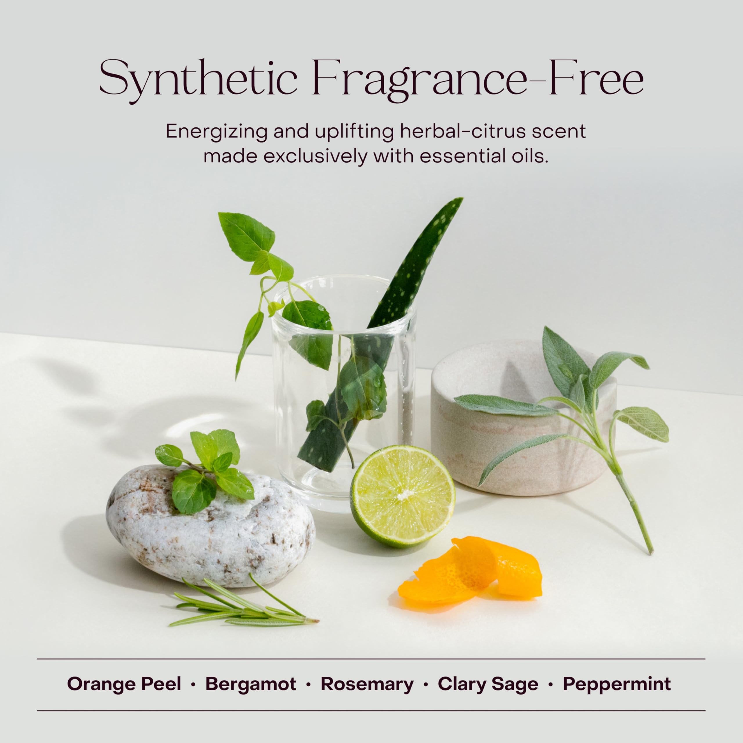 Everist rosemary and peppermint botanicals highlighting scalp-refreshing boost