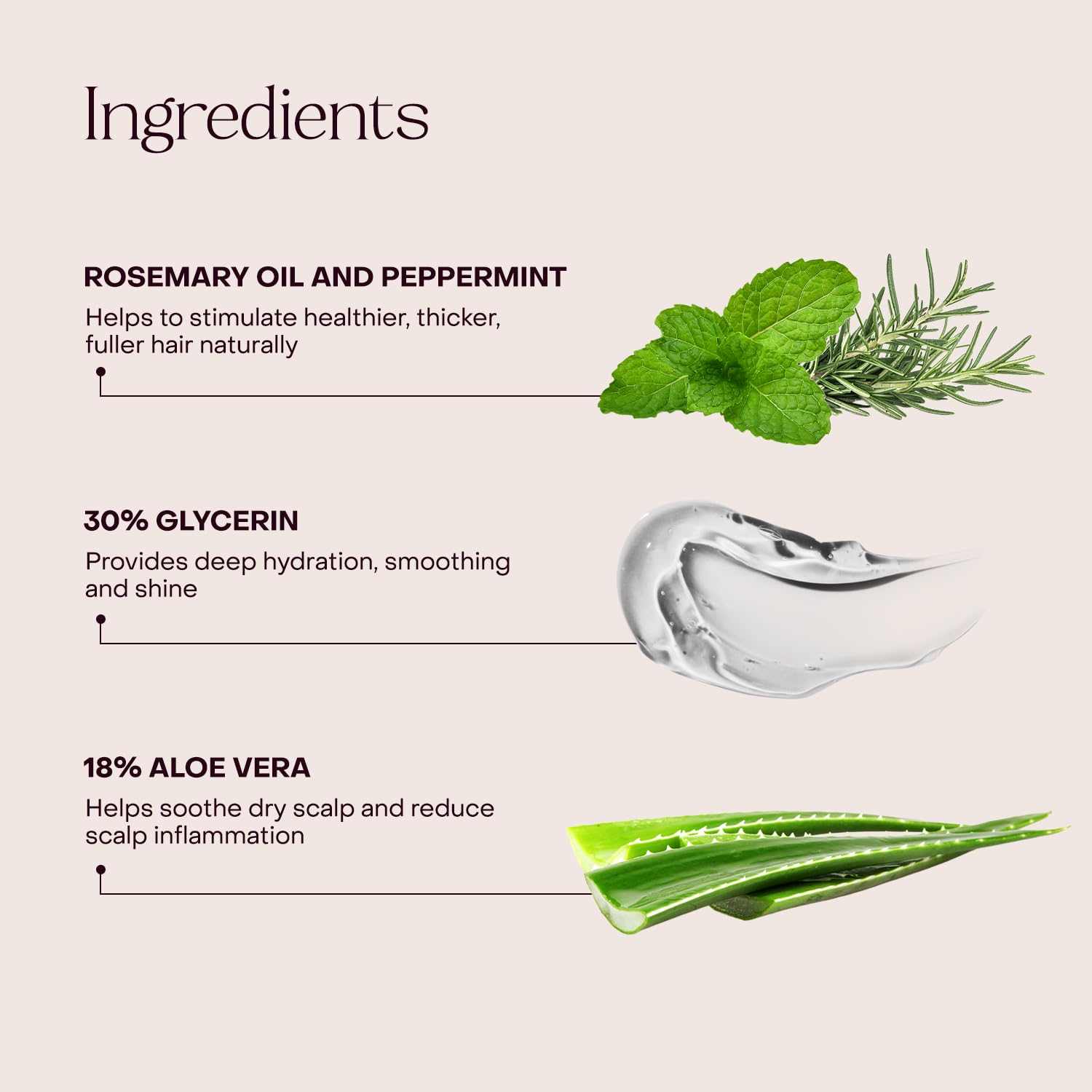 Everist label close-up highlighting bond repair and plant-based ingredients