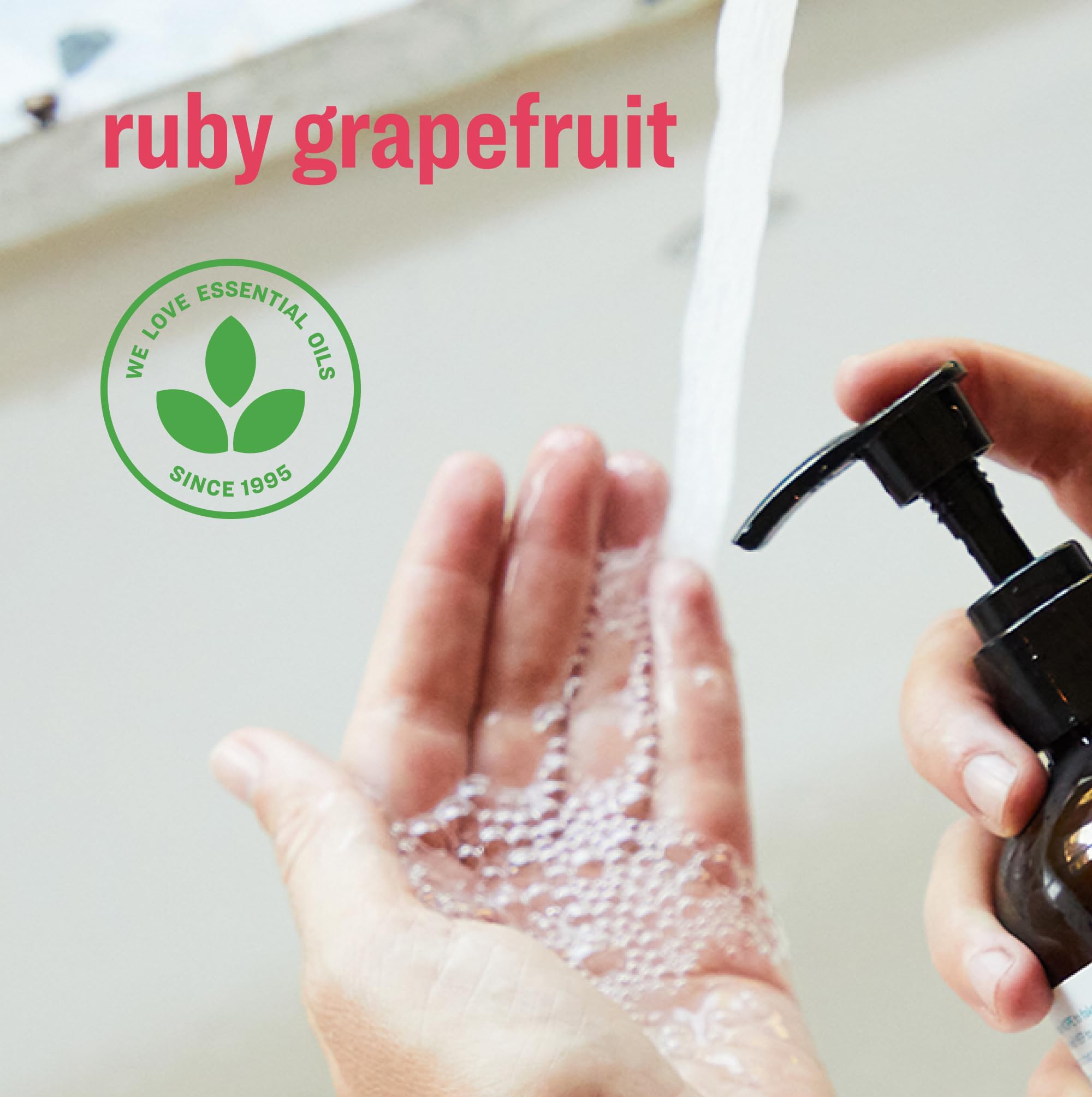 everyone label close-up with ingredients and EWG verification showcasing clean formulation