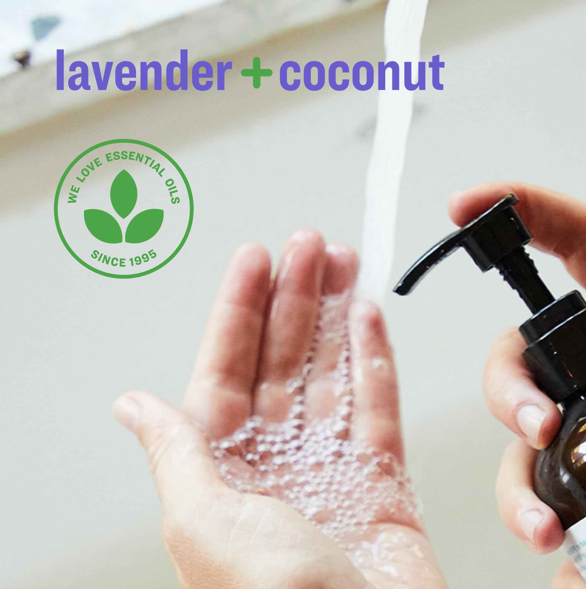 everyone lavender coconut three bottles displayed for size and pack quantity