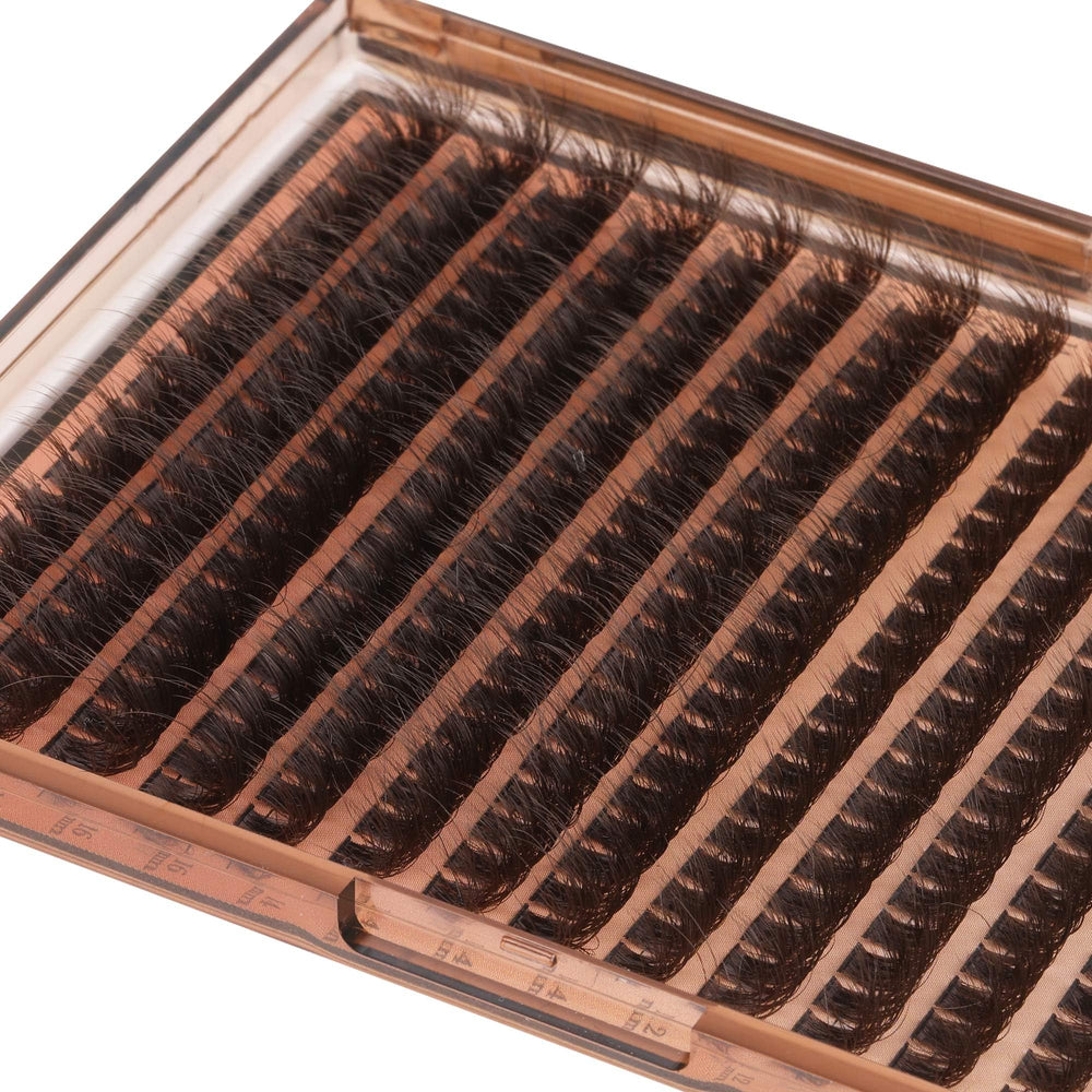 FANXITON storage case holding cleaned clusters, indicating reusability and long‑term value benefit
