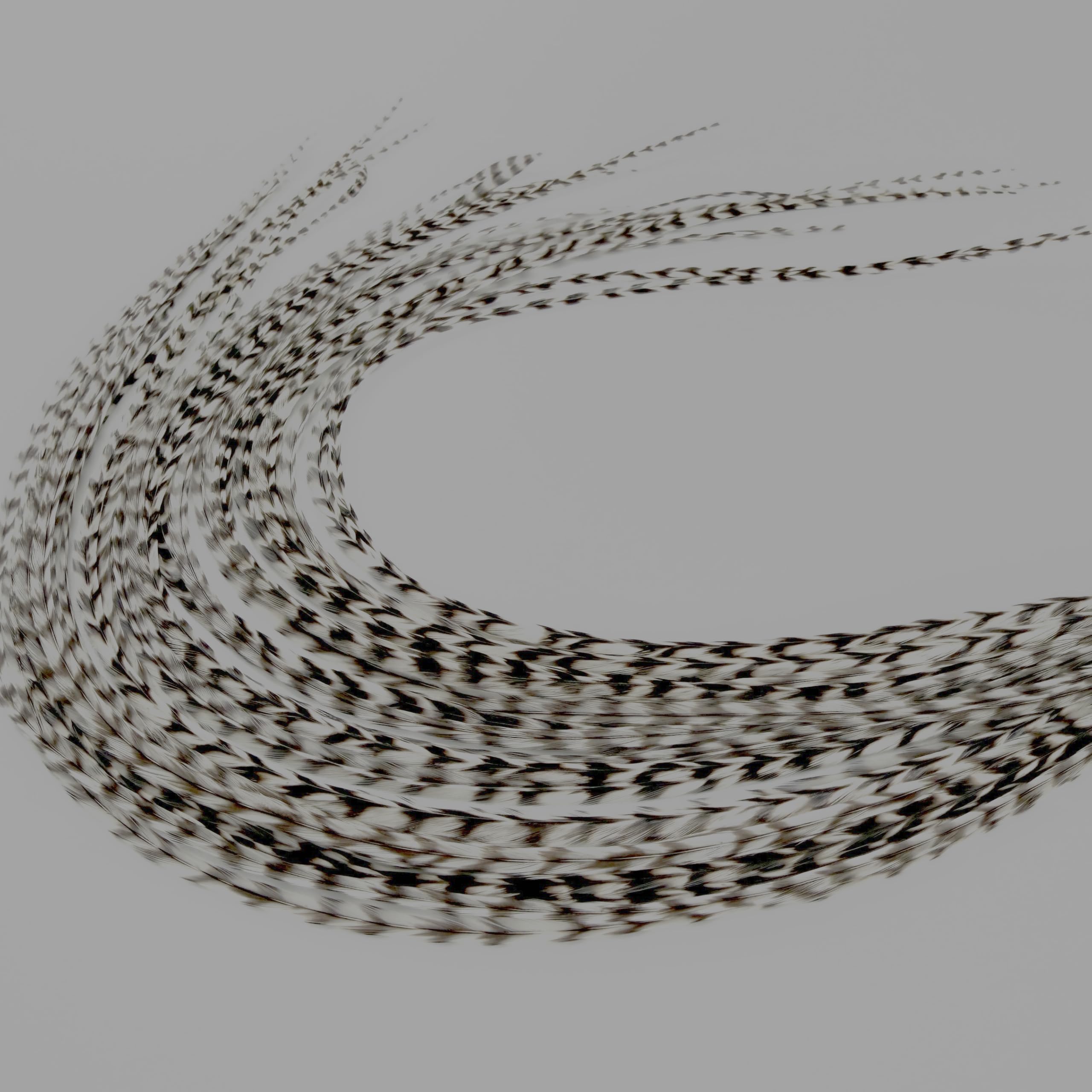 Feather Headz front kit packaging showing grizzly color feathers and beads benefit easy DIY