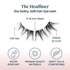 FlutterHabit applicator and glue displayed together for precise placement
