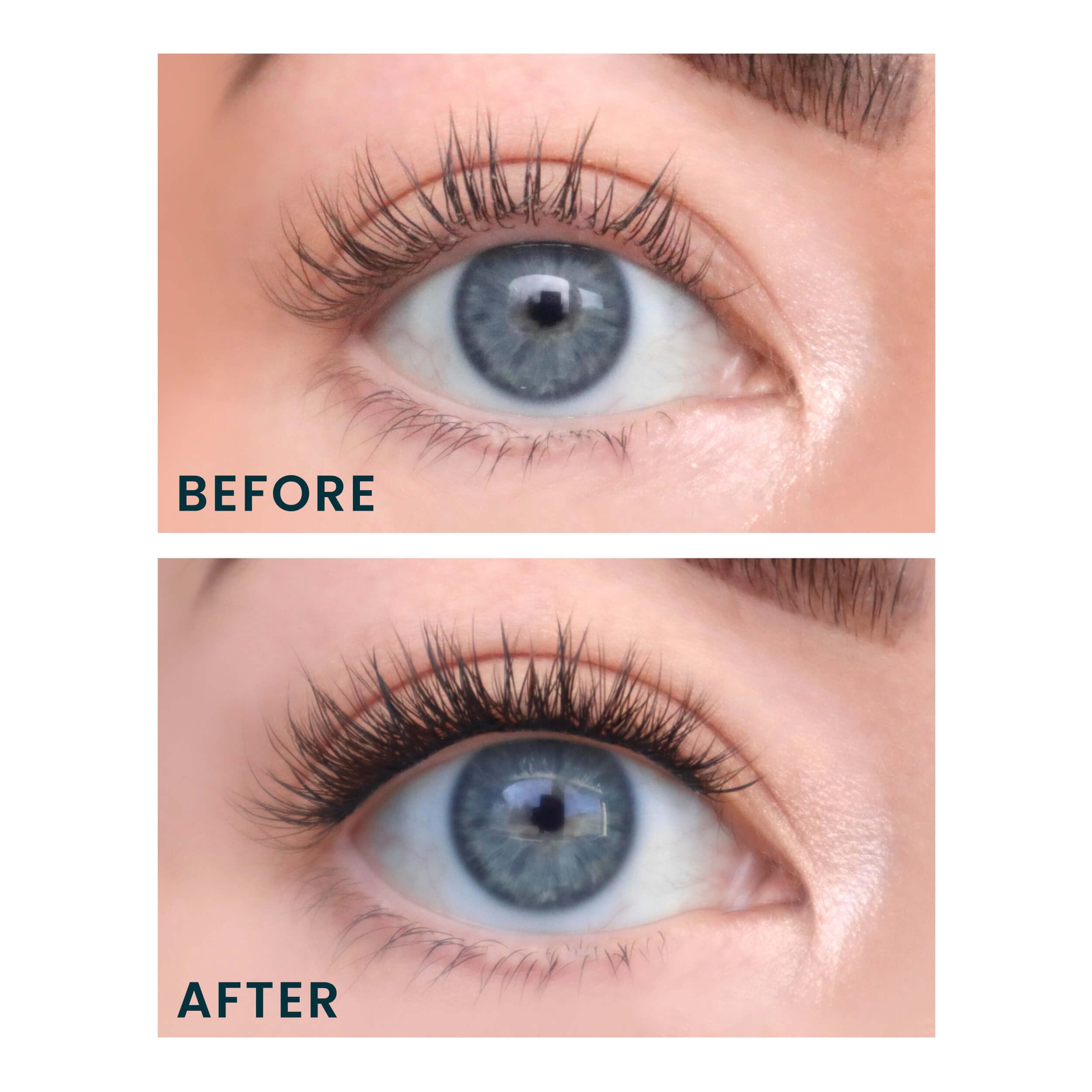 FlutterHabit applying a cluster lash demonstrating quick DIY use