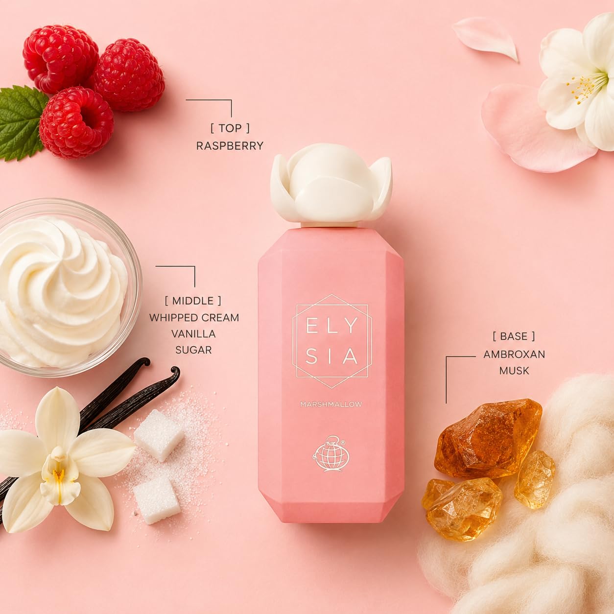 Fragrance World bottle beside packaging showcasing product presentation and value