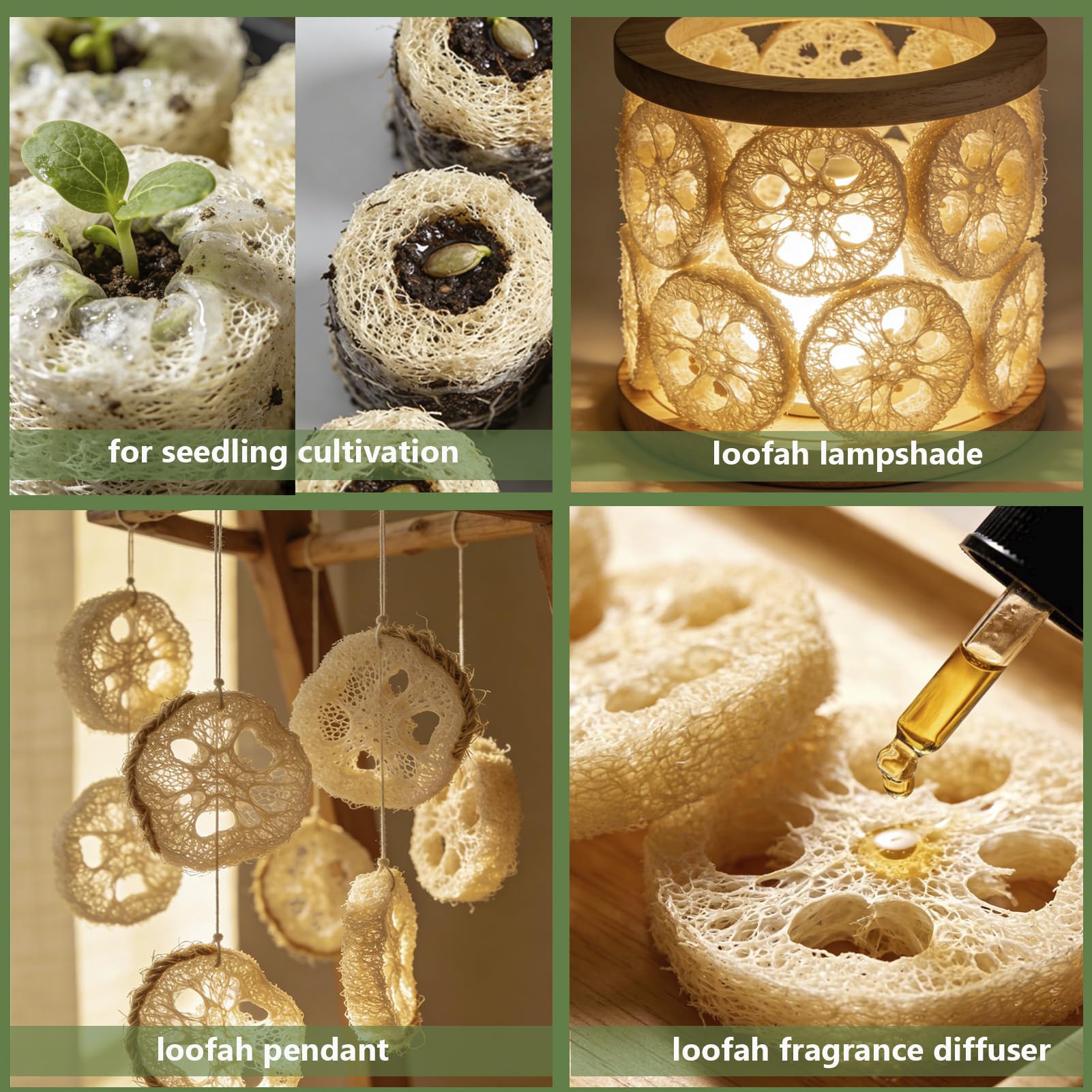FRTIM loofah piece placed inside soap mold demonstrating craft-ready convenience