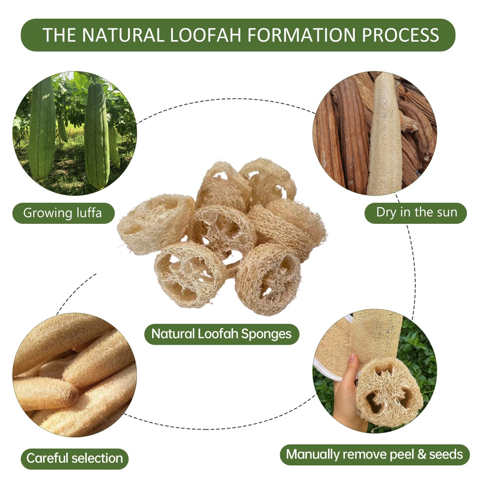 FRTIM repurposed loofah used as a compost planter showing sustainable reuse
