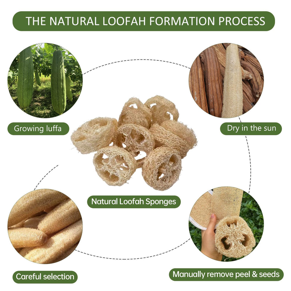 FRTIM repurposed loofah used as a compost planter showing sustainable reuse
