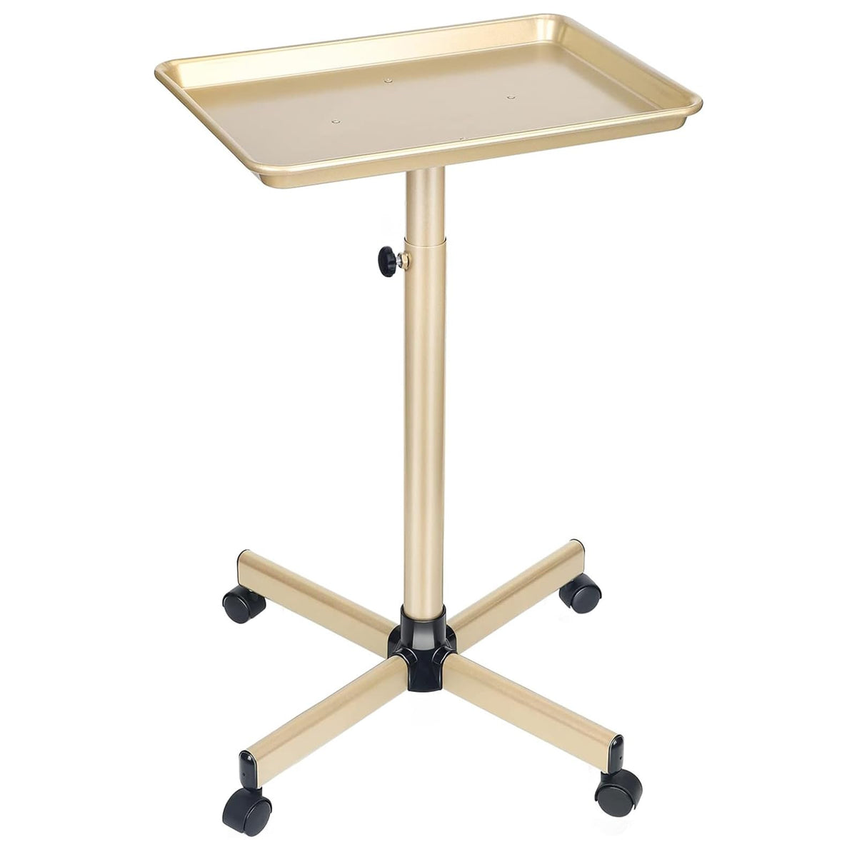 FWOD BIBTO front view of champagne gold tray showing organized tools and neat presentation