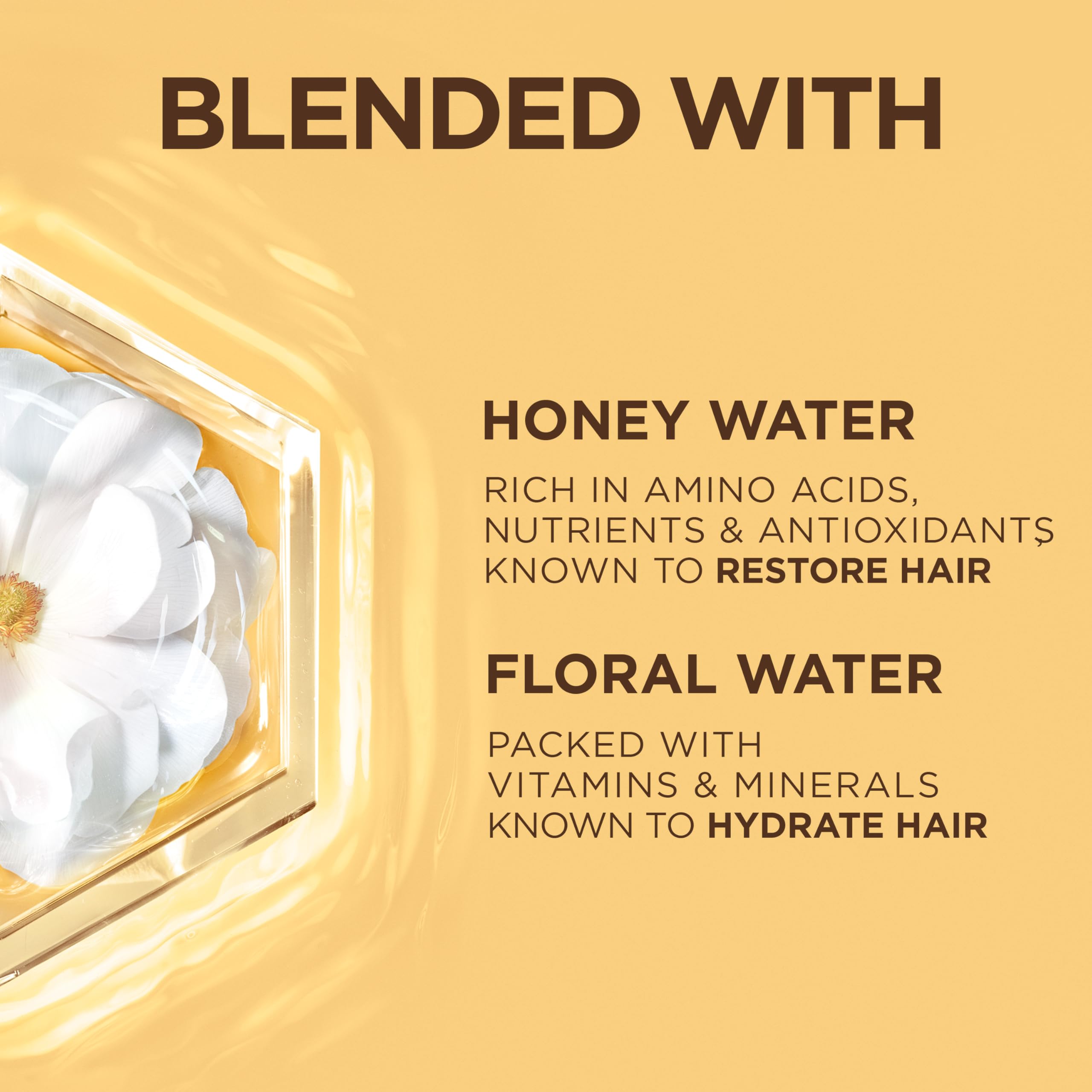 Garnier before-and-after hair transformation with smoother shine