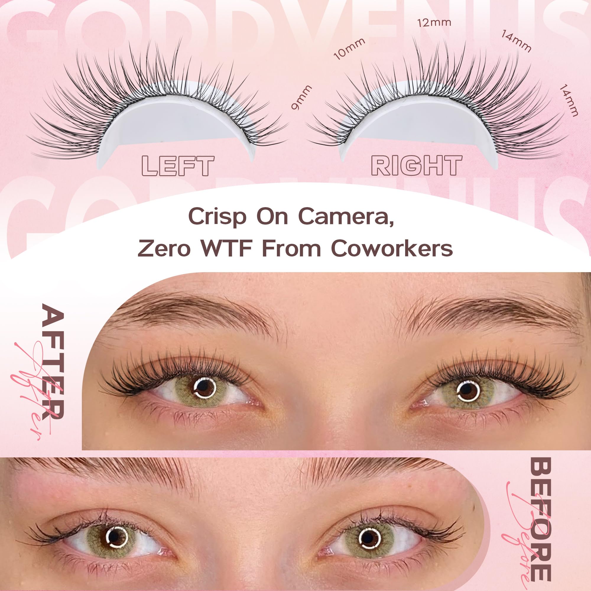 Goddvenus application demo showing cluster placement near lash line for natural lift
