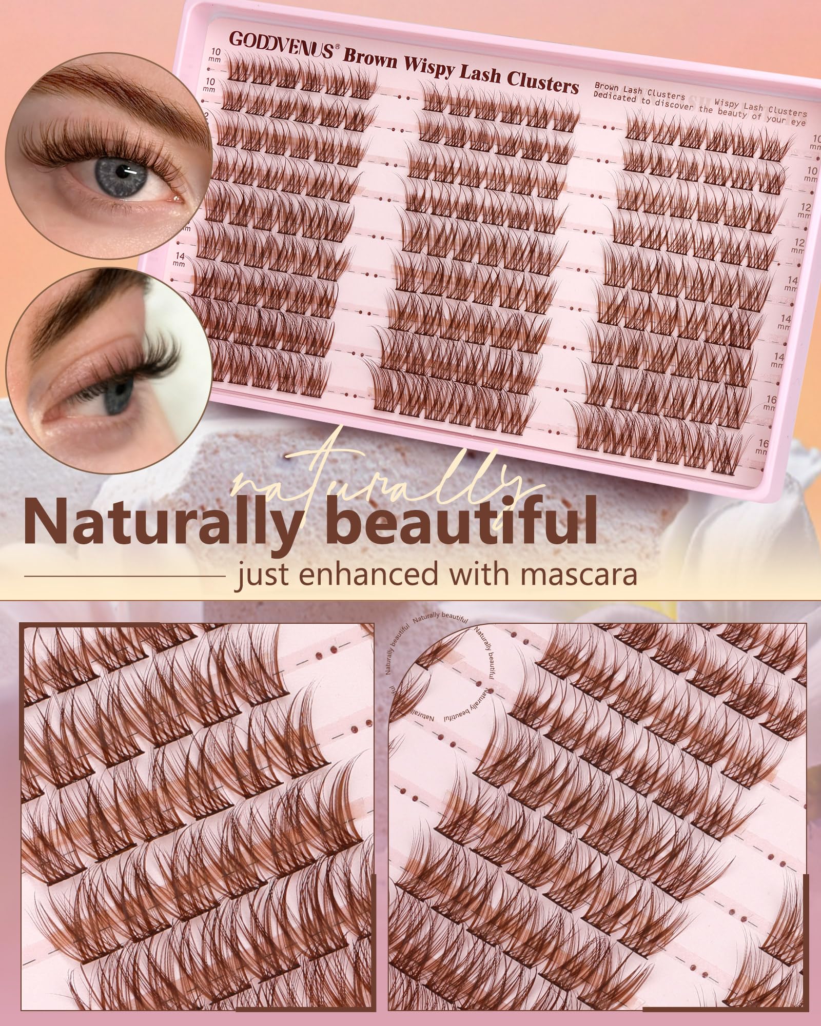 Goddvenus step-by-step cluster application on model eyelid for effortless results