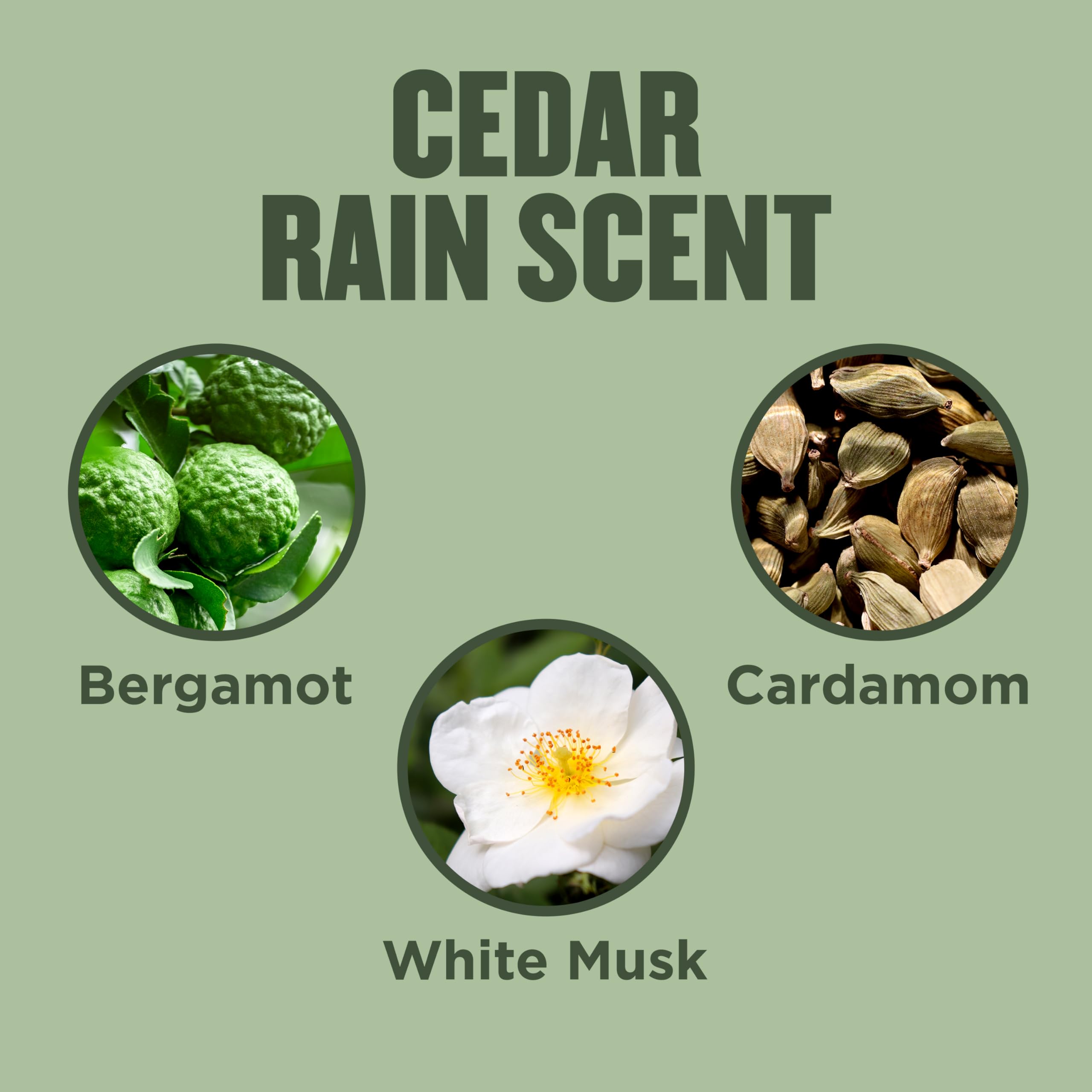 Gold Bond cedar rain ingredient label with aloe vera and vitamin E called out for soothing