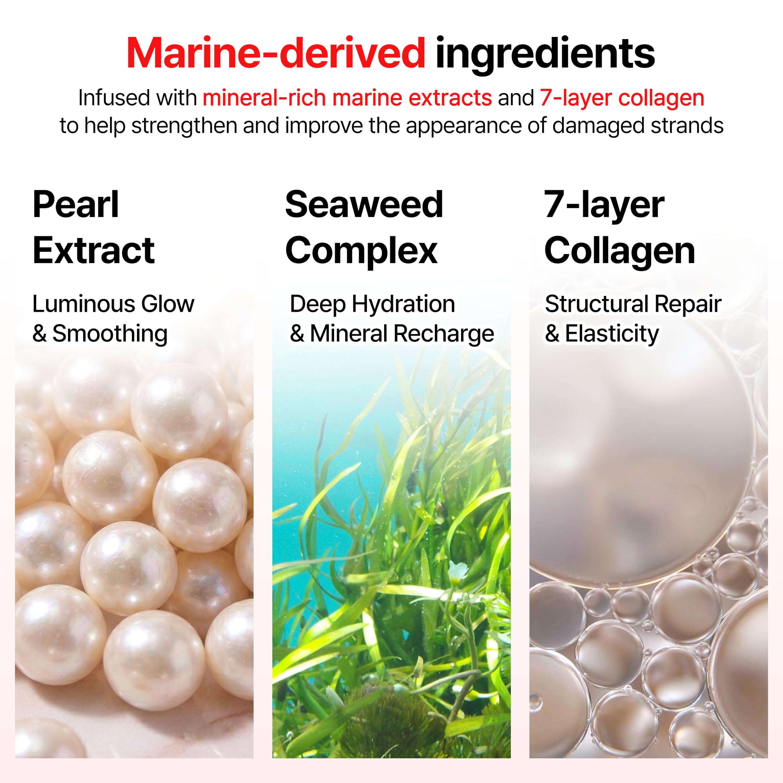GROWUS ingredient collage with marine collagen and pearl protein benefits