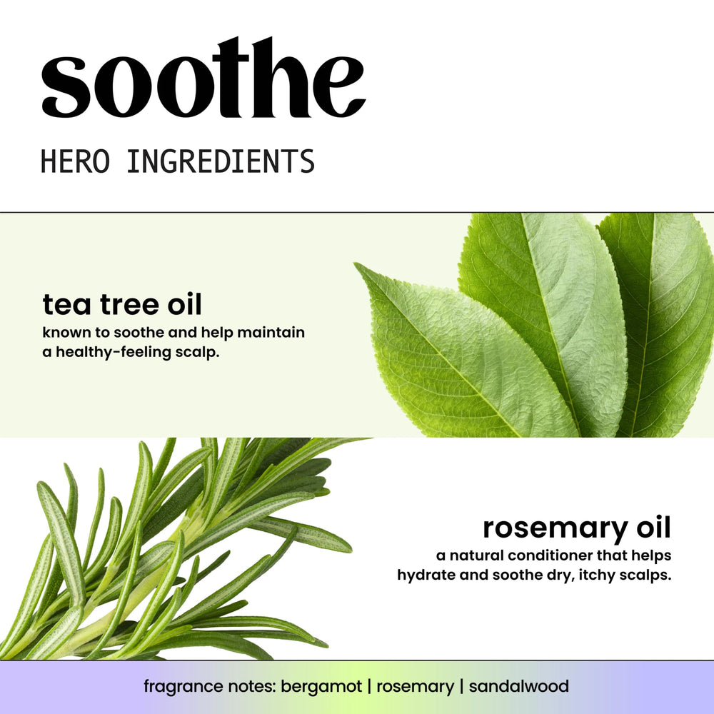 Tea tree and rosemary ingredients by HASK highlighting natural soothing
