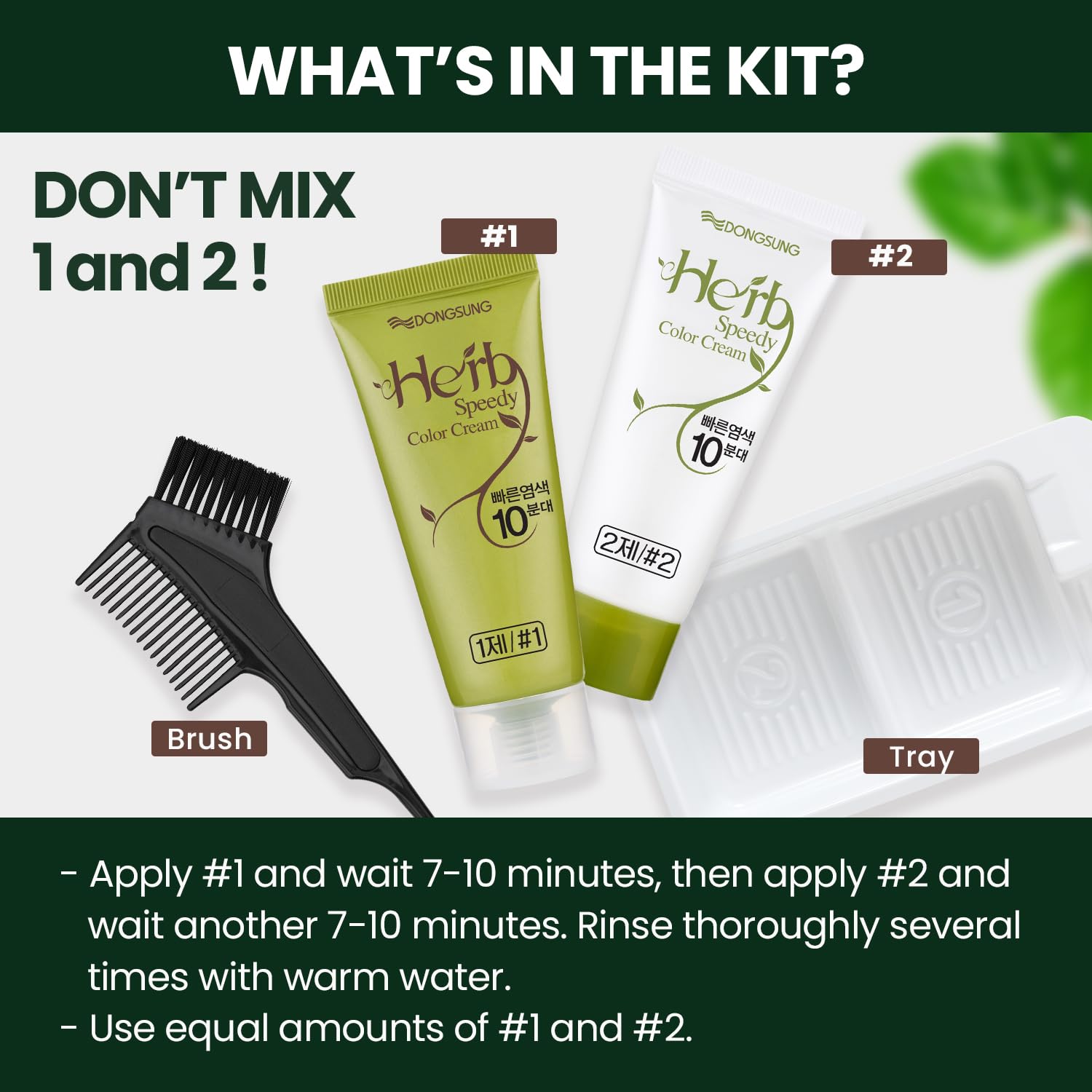 Herb Speedy botanical ingredients flatlay highlighting nourishment