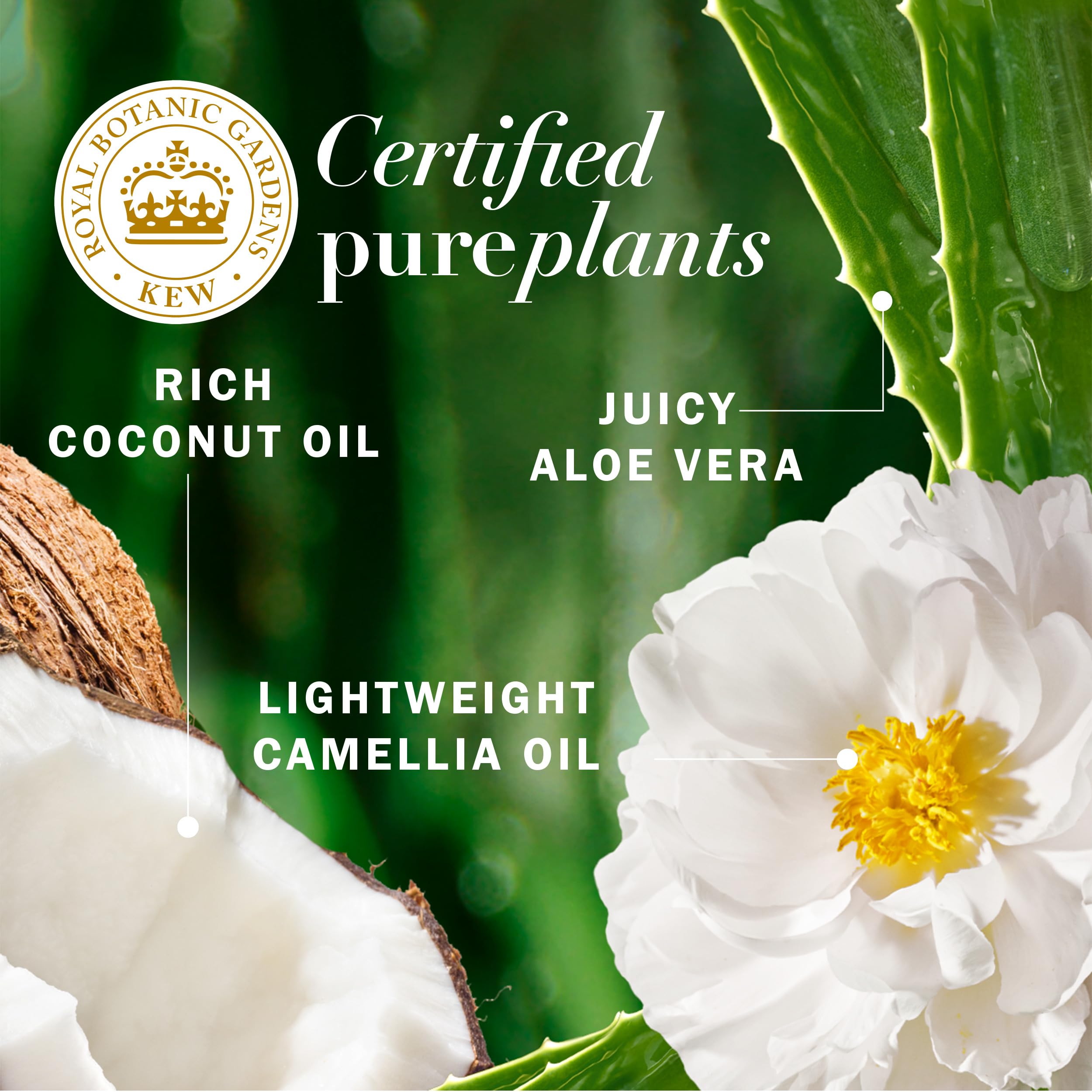 Herbal Essences label close-up showing ingredient highlights and benefits