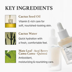 Huxley ingredients flatlay with cactus seeds and berries emphasizing antioxidant blend