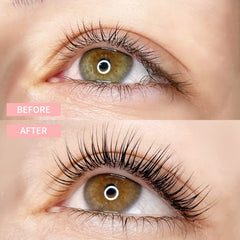ICONSIGN close-up of curled lashes showing natural lift and separation