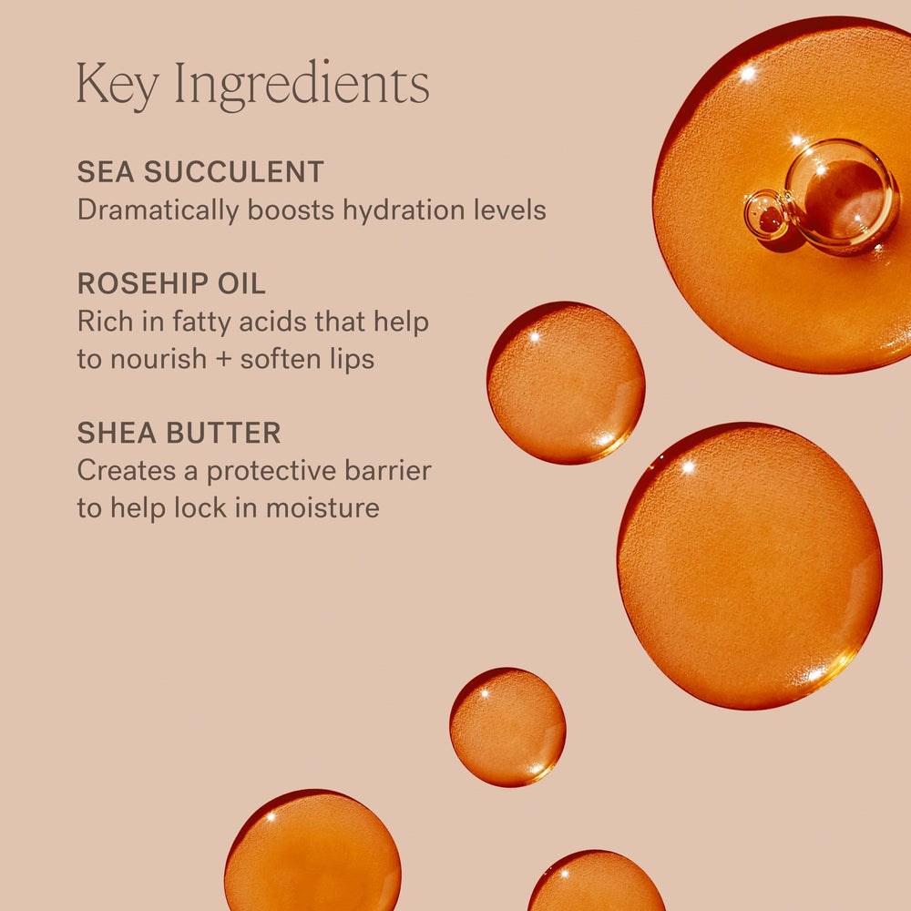 ILIA key ingredients display Sea Succulent Rosehip Shea Butter highlighting nourishing benefits