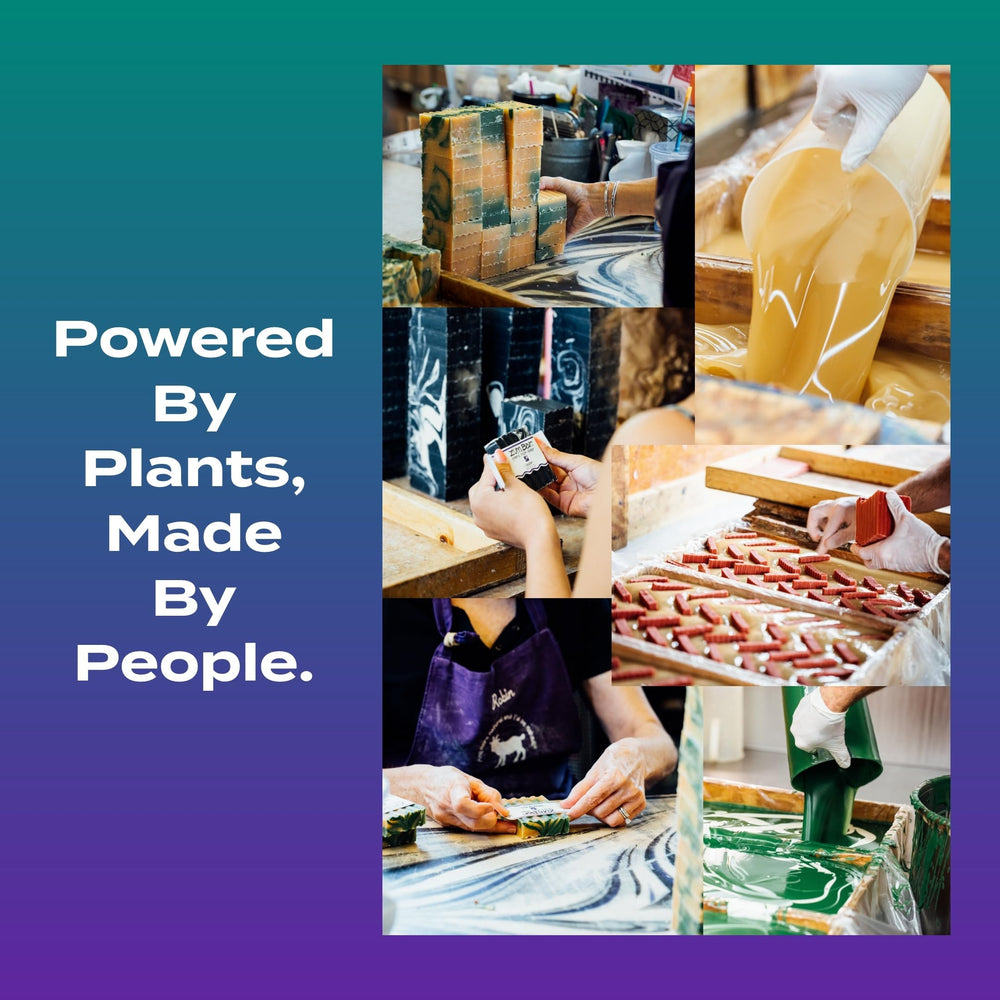 Display of olive, coconut, palm and castor oils used by Indigo Wild emphasizing natural ingredients