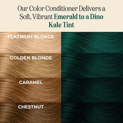INH applying emerald tint to hair section demonstrating precise color placement
