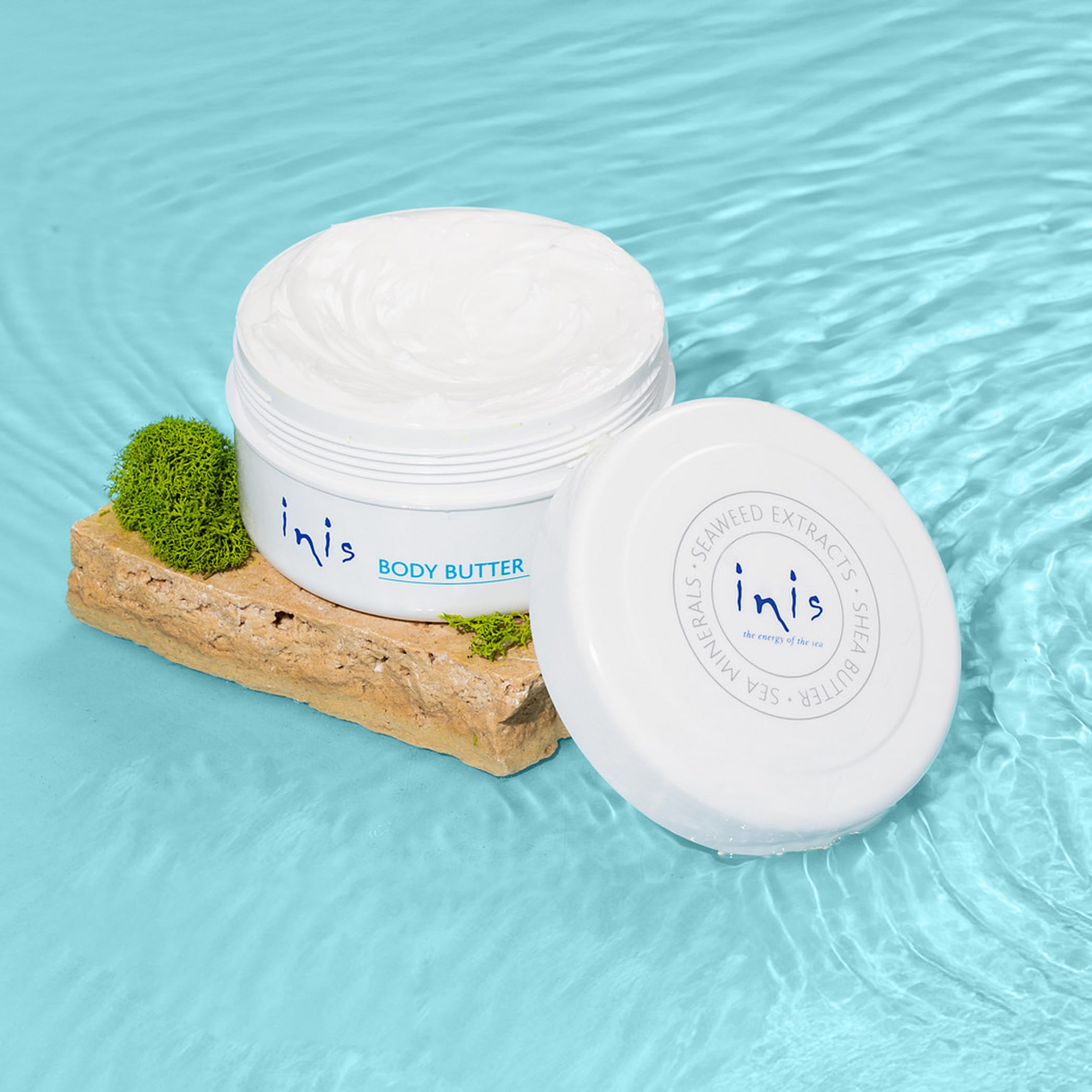 Arrangement of seaweed and shea ingredients representing Inis nourishing formulation