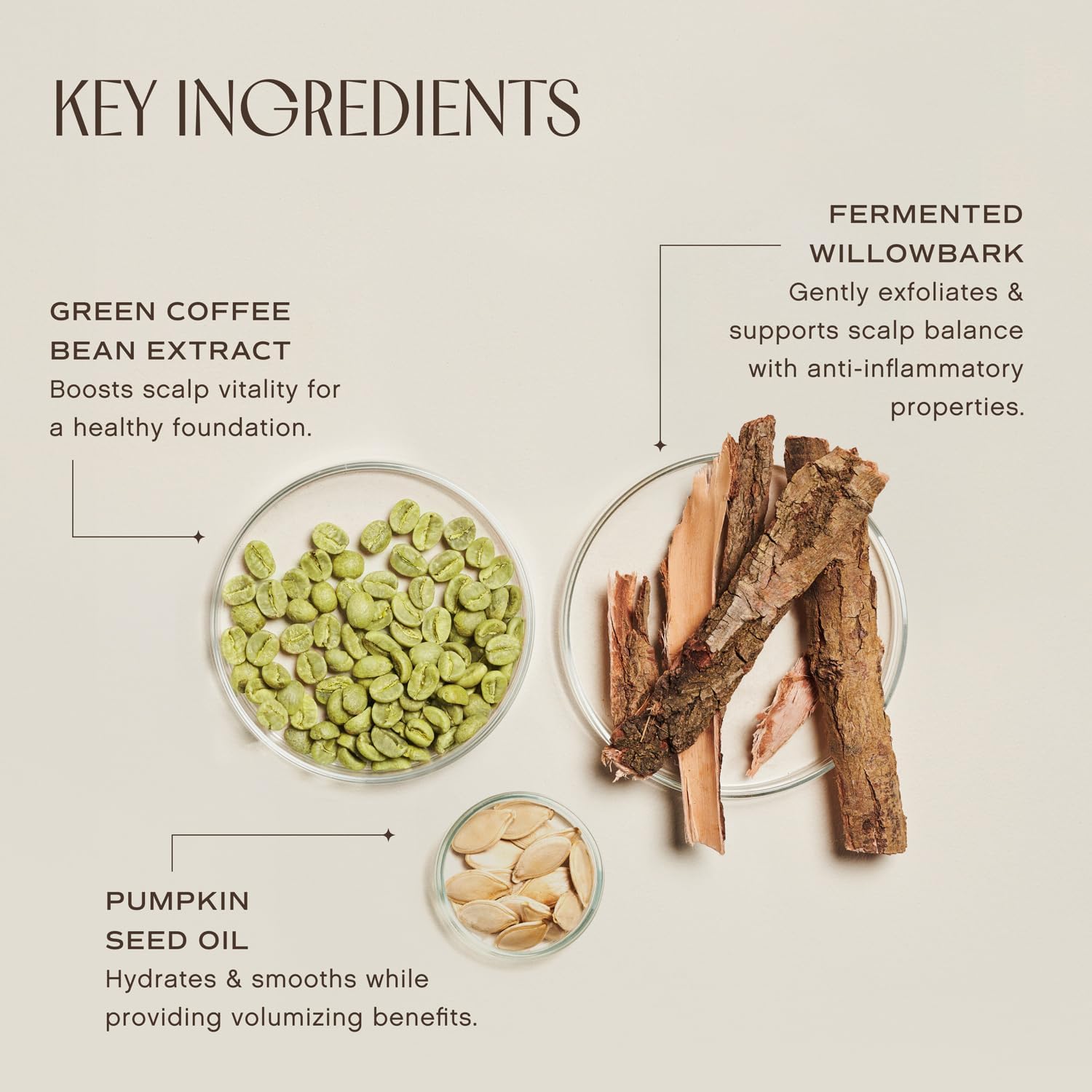 INNERSENSE rice protein ingredient visual emphasizing strengthening and smoother hair benefits