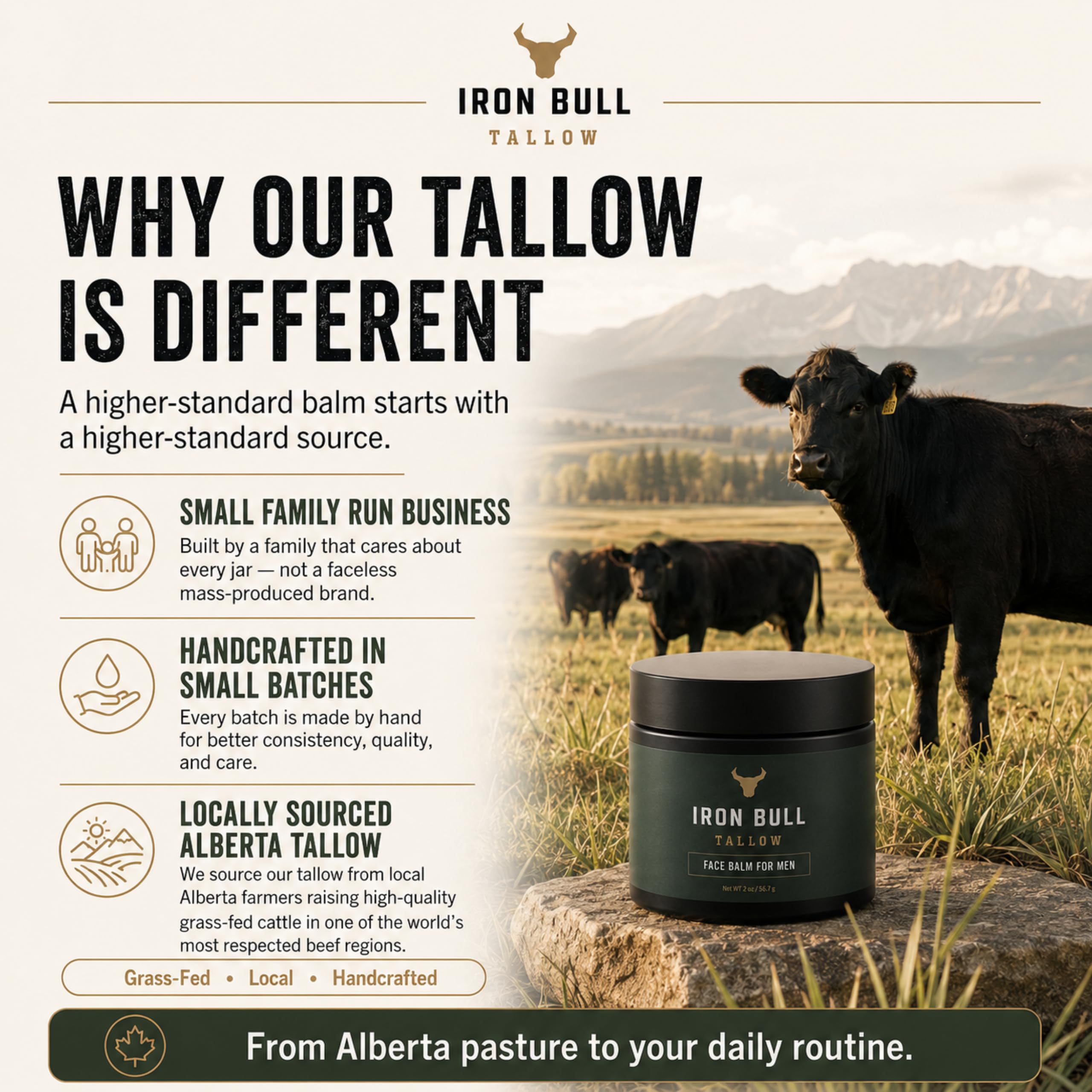 Iron Bull warming balm in palm before application for easier absorption