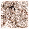 Jac-O-Net close-up of ultra-fine mesh showing discreet hold and breathability