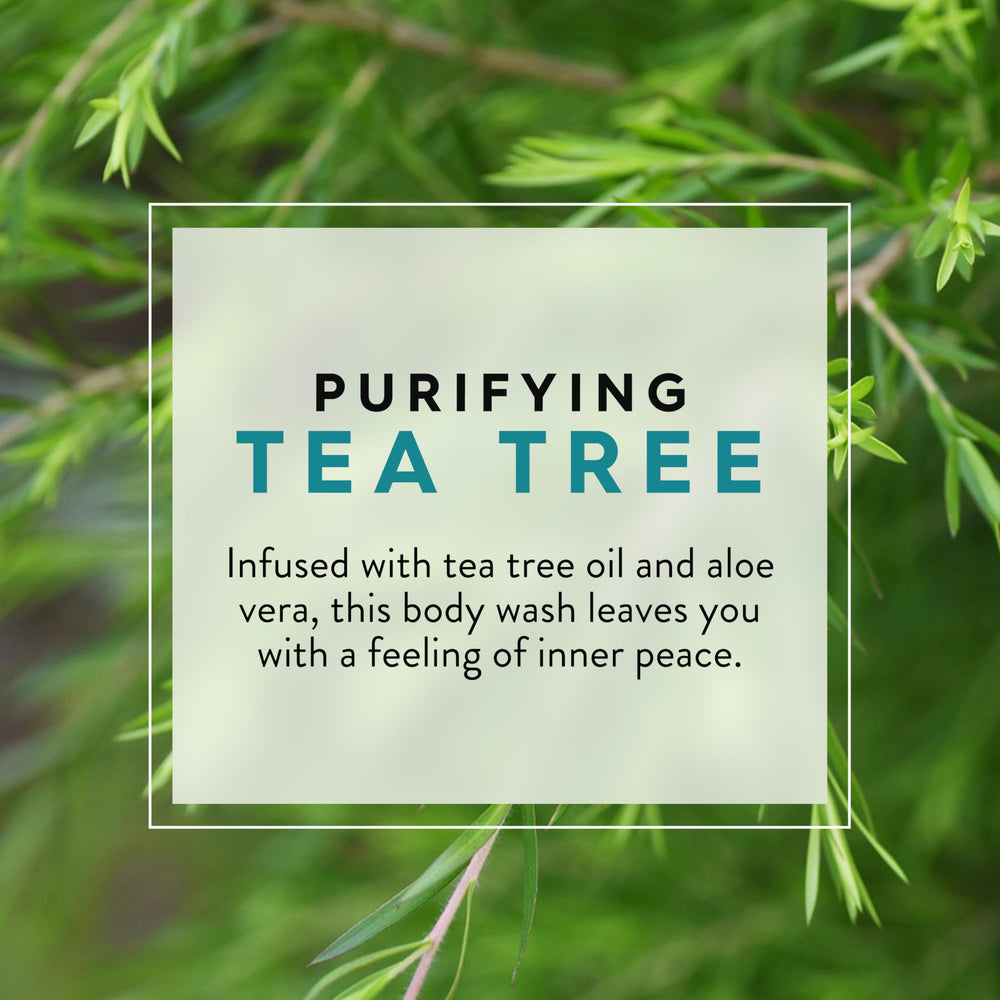 JASON aloe vera and tea tree detail highlighting soothing botanical ingredients