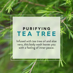 JASON aloe vera and tea tree detail highlighting soothing botanical ingredients