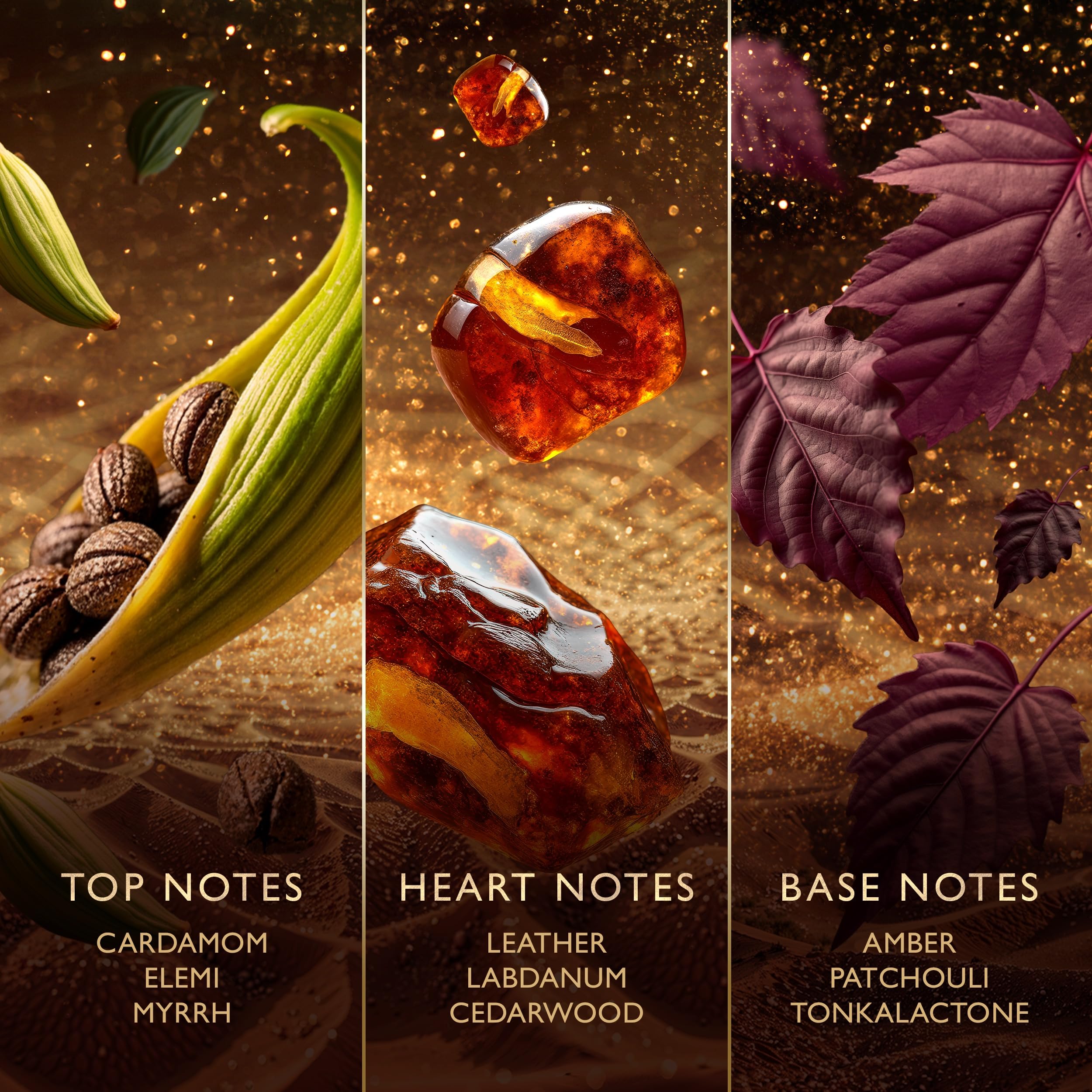 Jawhara patchouli and tonka base display conveying amber warmth and longevity