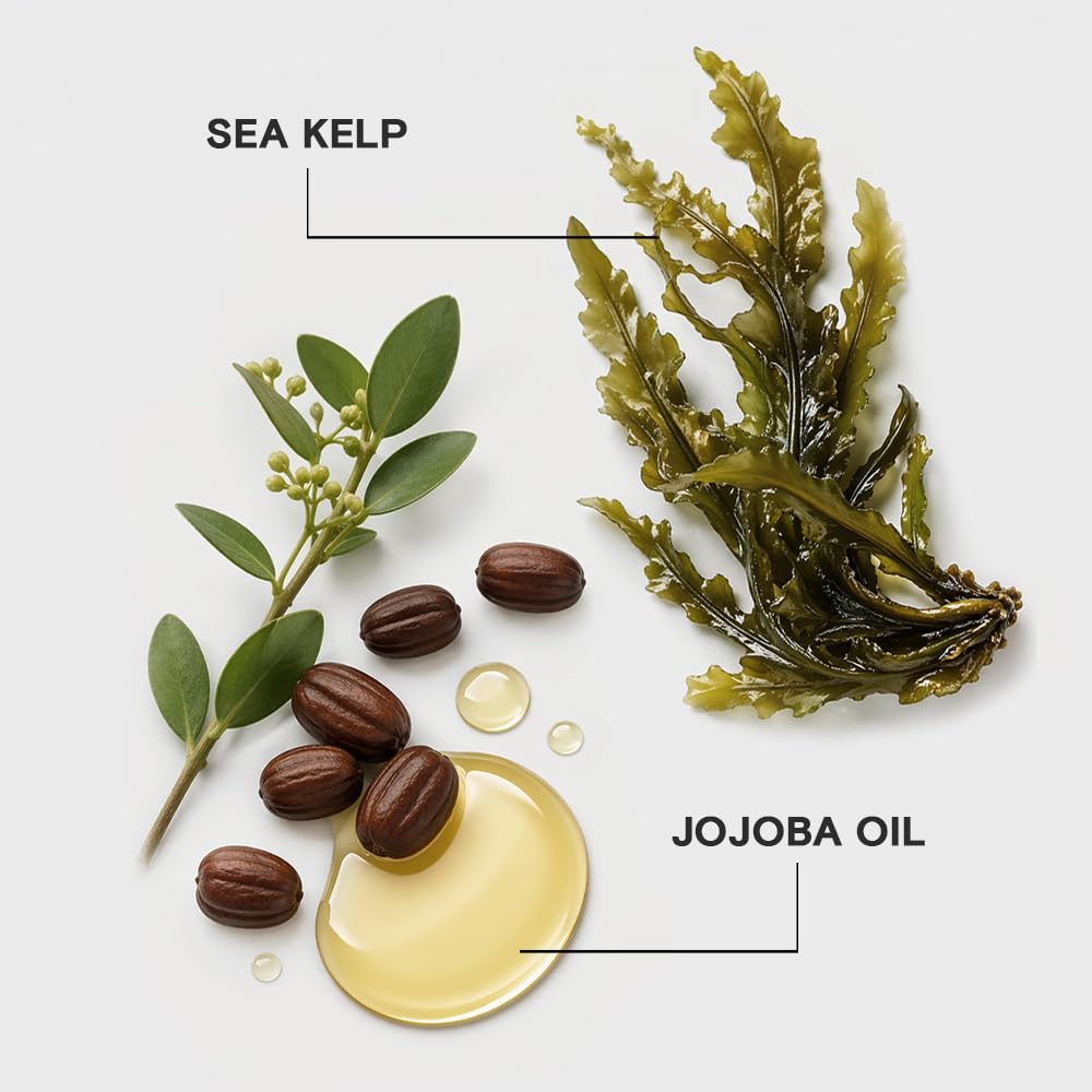 Sea kelp and Joico product together displaying natural ingredient hydration benefit