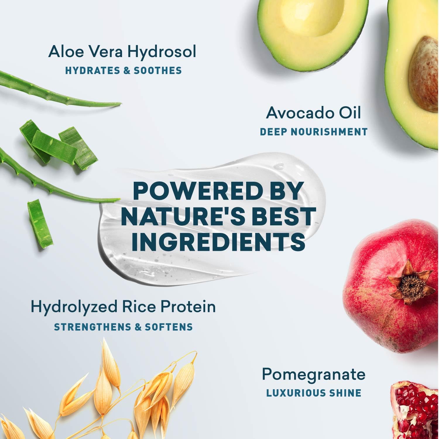 Just Nutritive botanical extracts display conveying natural strengthening benefits