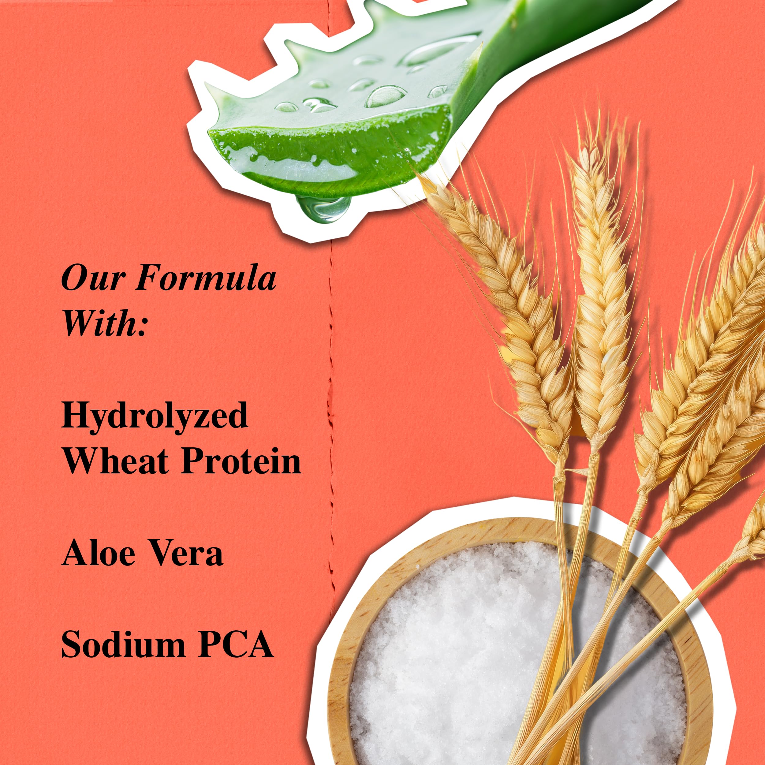 Kiehl's Aloe Vera and wheat protein ingredients highlighting hydration benefit