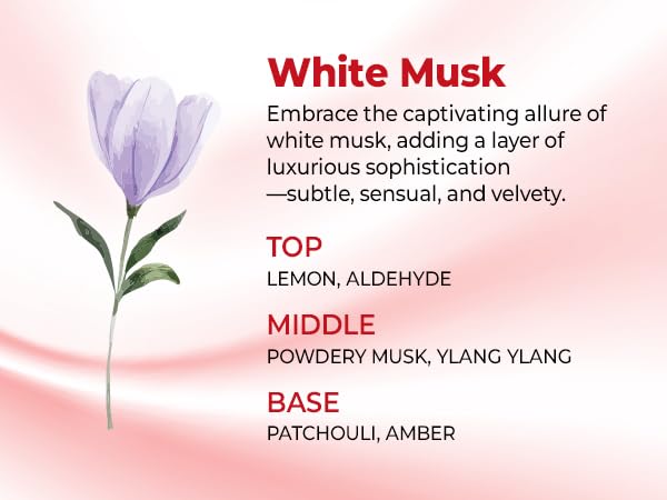KUNDAL product grouping with conditioner showing routine compatibility