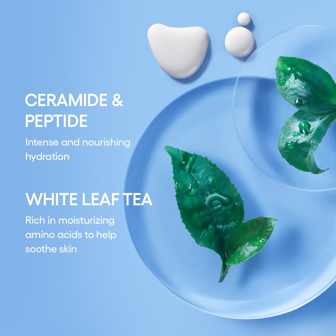LANEIGE Cream Skin applied on hand illustrating quick absorption and prep