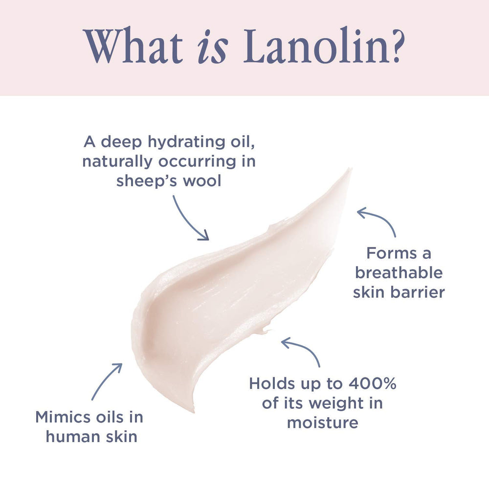 Lanolips product label close-up highlighting key ingredients and no harsh additives