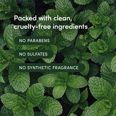 LATHER bottle surrounded by peppermint, thyme, cucumber, aloe