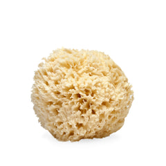 LATHER sea wool sponge front view shows soft natural fibers and gentle cleansing benefit