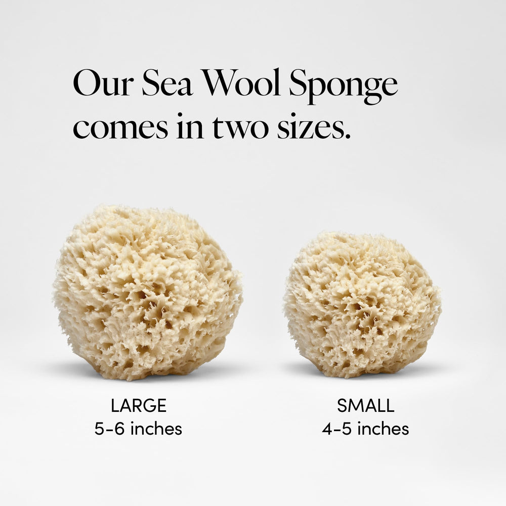 LATHER sponge held in hand showing 4–5 inch scale and easy grip benefit